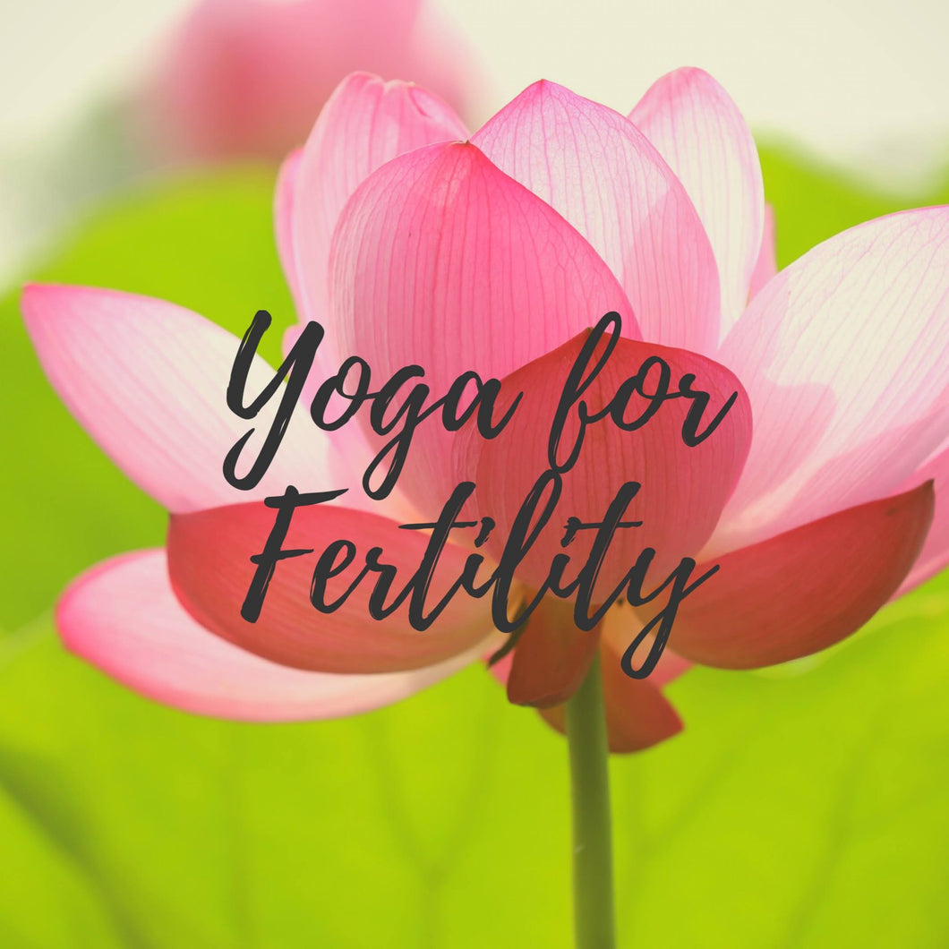 Yoga for Fertility Class